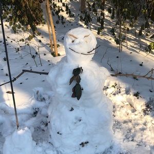 Meet your Posher, Spencer